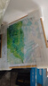 梵高莫奈原木风小清新装饰挂画世界名画客厅餐厅小众油画 F款梵高《绿色麦田》 40*40cm 原木色木纹框+油画布 实拍图