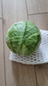 山东新鲜甘蓝包菜卷心菜圆白菜新鲜嫩绿莲花白现摘现发早餐减脂 新鲜包菜 1斤 人工挑拣 实拍图