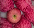 京鲜生 烟台红富士苹果 净重5.2斤/12粒  单果190-240g  水果礼盒 实拍图
