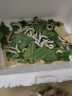 沃绣 新鲜桑叶 现摘大小蚕特嫩桑叶养蚕 蚕卵蚕宝宝食物饲料 桑苗盆栽 新鲜桑叶1斤【发顺丰特快】 实拍图