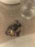 同仁堂菊花枸杞决明子茶養盰護肝茶金银花甘草牛蒡根熬夜上火养生茶150g 实拍图