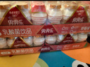 界界乐乳酸菌饮料牛奶乳品内含免疫球蛋白原味100ml*40瓶 整箱活力装 实拍图