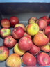 京鲜生 新疆阿克苏冰糖心苹果 净重9斤 果径75mm 新鲜水果 实拍图