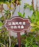 班尼路（Baleno）短裤男夏季潮流运动宽松百搭冰丝休闲裤冰感透气轻薄沙滩裤 实拍图