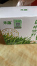 禾蓓小麦苗提取汁粉4克*30麦绿素粉小麦草榨汁浓缩精华小麦青汁麦苗汁 1盒装4克×30条 实拍图