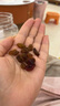 三只松鼠罐装每日坚果500g 干果核桃腰果葡萄干休闲零食 团购送礼 实拍图