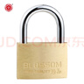 梅花（BLOSSOM）铜挂锁 防水防锈家用锁具 宿舍挂锁柜门锁 防盗窗锁头55mm（076） 实拍图