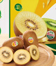 佳沛（zespri）新西兰  阳光金奇异果16粒礼盒经典果单果约 77-103g 水果 猕猴桃 实拍图