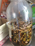 喜碧（Scybe）泡酒容器 密封罐10斤装泡酒专用瓶泡菜坛子泡酒瓶腌菜瓶潘多拉5L 实拍图