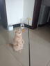 田田猫木柄弹簧3合1逗猫棒羽毛逗猫棒可换替换头耐咬逗猫器猫玩具 实拍图