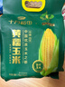 十月稻田 四平黄糯玉米 3.52斤(220g*8根)东北玉米棒 低脂早餐 零食 实拍图