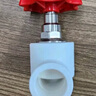 联塑（LESSO）PPR热熔截止阀 6分白色止水阀 冷热水水管开关阀门闸阀 dn25 实拍图