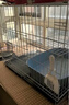 憨憨宠猫笼折叠猫笼子大号猫别墅加粗加密双层猫舍猫窝宠物猫咪用品家用 白色 850双层 实拍图
