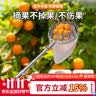 农宝摘水果神器不锈钢伸缩杆摘苹果柿子果子摘果器高空采摘工具钩 5米 实拍图