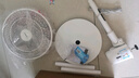 美的（Midea）【幸运草安睡风扇SE】直流变频轻音家用立式遥控电风扇柔风落地扇台式桌面大风量一级能效轻羽扇 实拍图