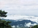 伊利安慕希橙凤梨风味酸牛奶230g*10瓶 礼盒装 实拍图