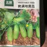 北蔬爬满地黄瓜种子苗爬地不搭架秋季青瓜菜种籽 爬满地黄瓜种子50粒 实拍图
