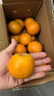 秭归脐橙中华红血橙 当季新鲜水果湖北甜橙手剥橙 4.5斤（果径≥65mm） 实拍图