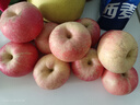 甜醉了 烟台苹果栖霞红富士新鲜水果生鲜山东特产脆甜整箱平果礼盒礼品 净重5斤75-80mm 实拍图