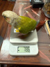 香山厨房秤 家用电子秤烘焙秤 咖啡秤0.1g高精度 不锈钢秤面 充电款 实拍图