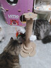 HELLOJOY猫抓柱剑麻猫抓板猫玩具耐抓耐磨不掉屑猫爬架立式自嗨解闷用品 实拍图