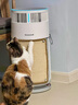 霍尼韦尔（Honeywell）宠物空气净化器吸猫毛除过敏源猫猫搭子 猫毛净化器杀菌消毒除异味【家电国家补贴】KJ360F-C22W 实拍图