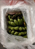 曜果广西香蕉 小米蕉   新鲜水果 生鲜 生果 小米蕉是小的 小米蕉 5斤 （青蕉需催熟后食用） 实拍图