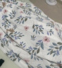 名创优品（MINISO）100%纯棉床单单件全棉被单230x250cm家用双人1.8x2米床 实拍图