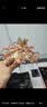拼酷花间伞 3d立体金属拼图diy手工拼装玩具家居摆件生日中秋节礼物 扶摇+轻便工具 实拍图