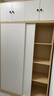 林氏家居小户型出租房用简易衣柜卧室家用推拉门储物柜子LS214D1 实拍图
