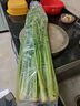 京鲜生正宗山东章丘鲍芹3斤礼盒 精选净芹地方特产新鲜蔬菜源头直发 实拍图