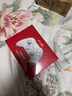 北通鲲鹏20无线游戏手柄智控双切扳机震动蓝牙手柄xbox电脑PC手机steam电视NSswitch2体感原神宝可梦ZA 实拍图