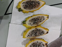京鲜生 燕窝果麒麟果 黄皮白肉火龙果 4粒装 单果150g 新鲜水果 实拍图