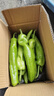 新鲜青尖椒超市生鲜蔬菜下饭菜虎皮尖椒鸡蛋伴侣 尝鲜 500g 含箱 实拍图