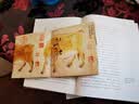 中国绘画史 潘天寿 讲述中国绘画5000年 绘画版“美的历程 【赠《五牛图》1米长卷+书签】潘天寿诞辰125周年纪念版 古吴轩出版社 实拍图