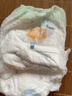 宜婴新梦想家全包臀婴儿小内裤XL72超薄拉拉裤【品牌直供 安心品质】 实拍图