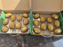 佳沛（zespri）新西兰  阳光金奇异果10粒礼盒巨大果单果约144-175g 水果 猕猴桃 实拍图