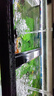 森森（SUNSUN）鱼缸灯led灯照明灯变色LED水族箱造景灯龙鱼灯潜水灯 【13W光之白】76cm长 适合100-110缸 实拍图