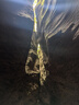 奥克斯（AUX）电热水龙头热水器加热水龙头快速热水变频恒温厨房下进水 【大屏数显】电镀银+漏保插头+万向喷头 实拍图