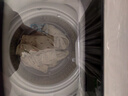 YANGZI扬子集团波轮洗衣机全自动家用小型洗烘一体脱水甩干机大容量 出租屋宿舍公寓办公室节能 18KG【强力烘干+智能风干+防缠绕】 实拍图