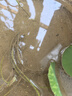 德沃多肥料荷塘泥2.6kg园艺种植基质水生植物营养土花土荷花碗莲睡莲专用土 实拍图
