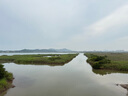 现挖烟薯糖心红薯新鲜空气炸锅烤地瓜农家沙地红心蜜薯 正宗烟薯25号 2斤 带箱 小果（单果50g-150g） 实拍图