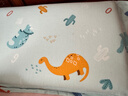 水星儿童（MERCURY Kids）幼儿园全棉抗菌对枕套(湖水绿/远古龙)30cm×50cm 婴幼儿A类 实拍图