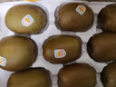 佳沛（zespri）新西兰阳光金奇异果原箱 16粒巨无霸 单果重约202-230g   猕猴桃 实拍图