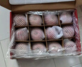 京鲜生 山东栖霞红富士苹果精品12粒 单果190g-240g  生鲜水果 礼盒 实拍图