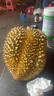 榴小橔泰国进口金枕头榴莲鲜果 巴掌榴莲水果热带金枕榴莲 6-7斤大金枕榴莲（1-2个） 实拍图