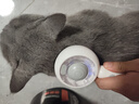 HELLOJOY宠物猫毛梳喷雾按摩梳去浮毛开结撸猫针梳猫咪梳毛专用神器猫梳子 实拍图