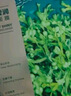 珀莱雅（PROYA）面膜 小球藻面膜 保湿海藻面膜补水面膜女男20片 实拍图
