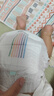 bebebus 金标茶树精华成长裤3XL20片(≥17kg)透气超薄拉拉学步裤男女宝 实拍图
