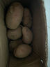 【真便宜】云南红皮土豆高原黄心土豆云南土豆新鲜红皮黄心洋芋 云南红皮土豆 1斤 单果1-3两 实拍图